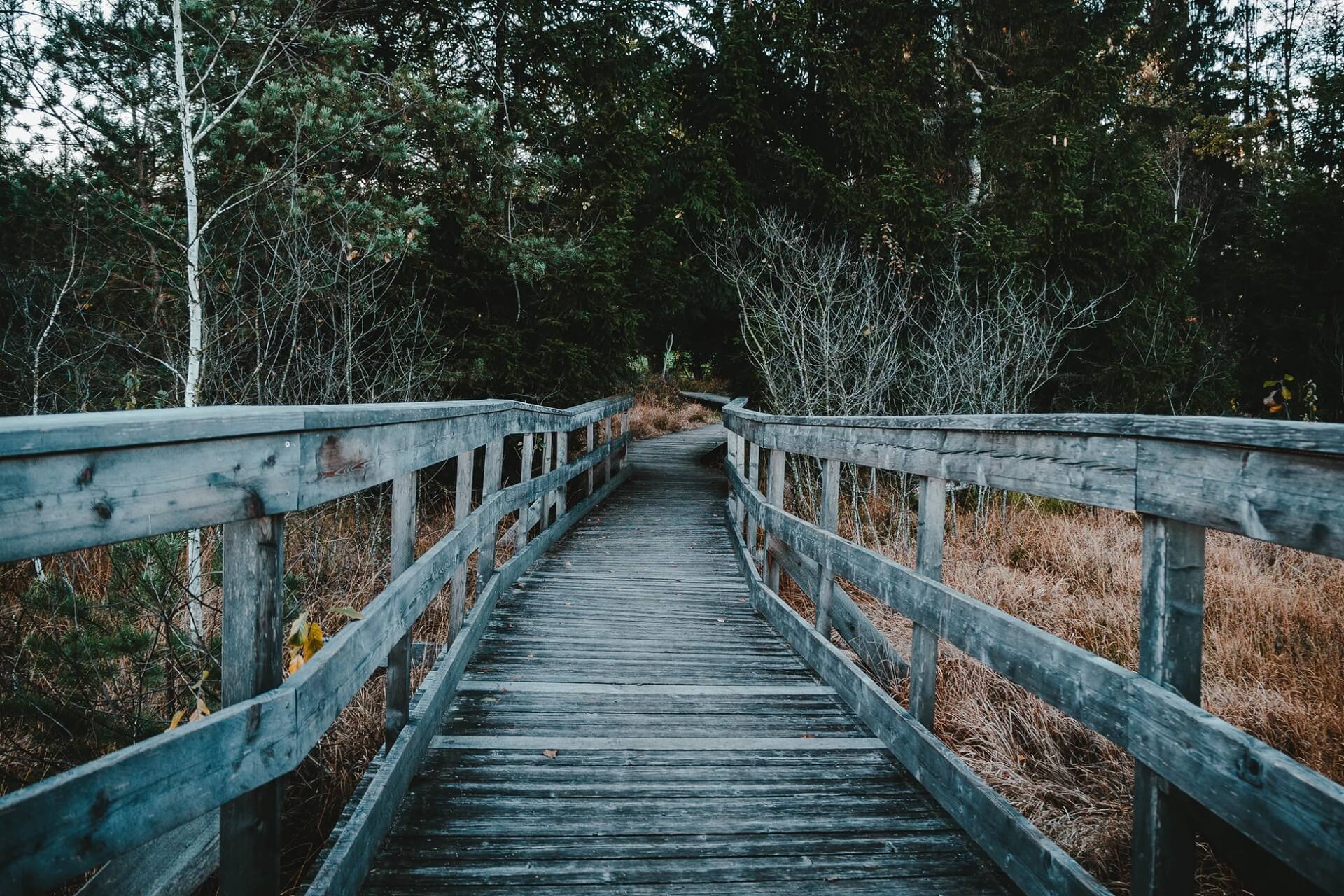a bridge crossing the river to a duck pound 